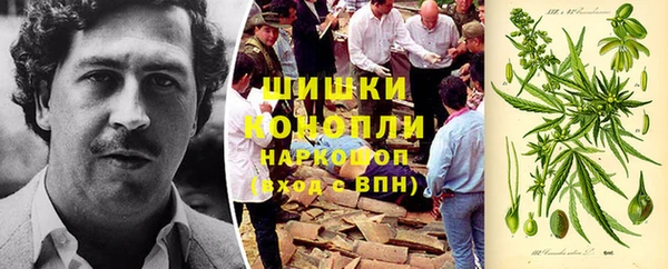 тгк Абаза