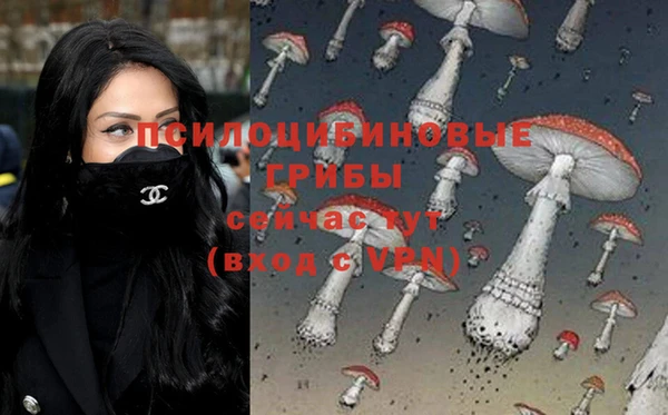 тгк Абаза