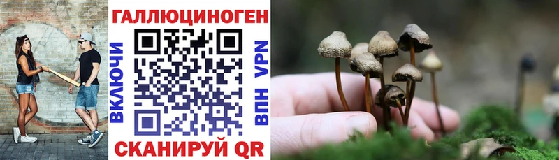 Псилоцибиновые грибы Psilocybe  Азнакаево 